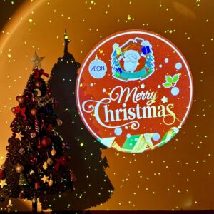 OEM Christmas Projection Lights